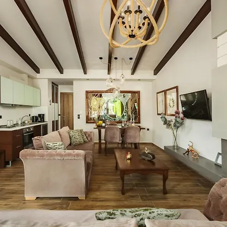 Vintage Hotel de apartamente Tríkala