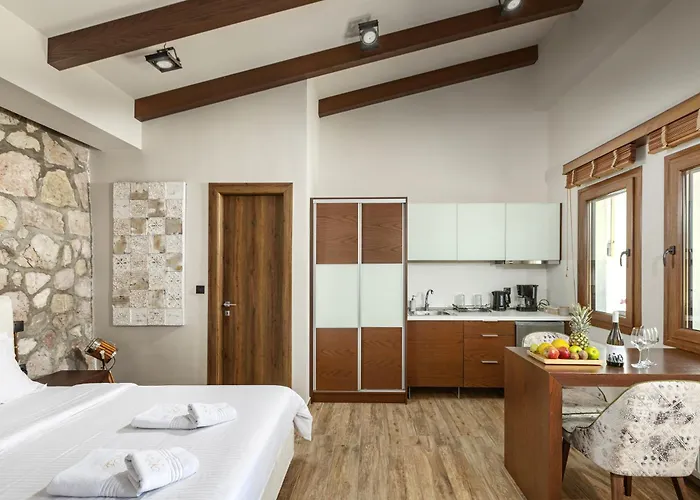 Hotel de apartamente Vintage 4*