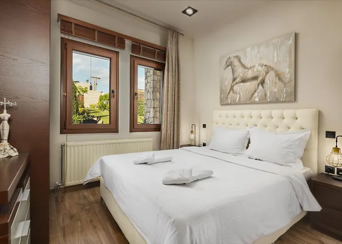 Vintage מלון דירות טריקלה