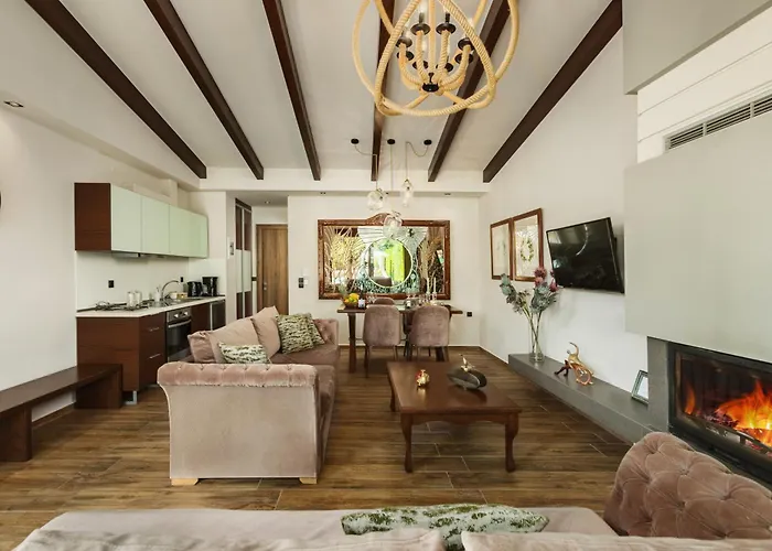 Vintage Hotel de apartamente Tríkala