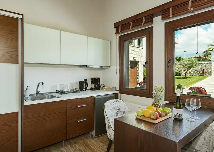 Vintage מלון דירות