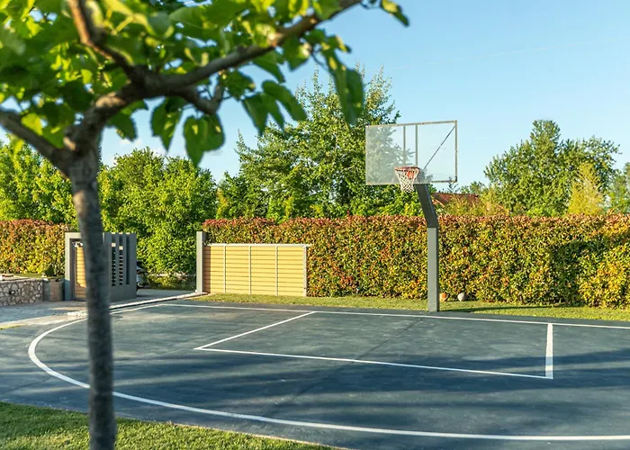 Vintage טריקלה